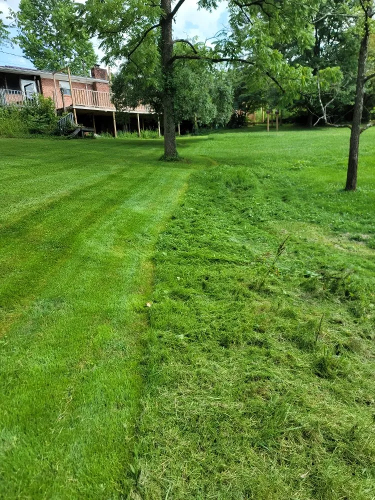 Affordable landscape installation experts serving London, KY - Green Acres Lawn & Landscape