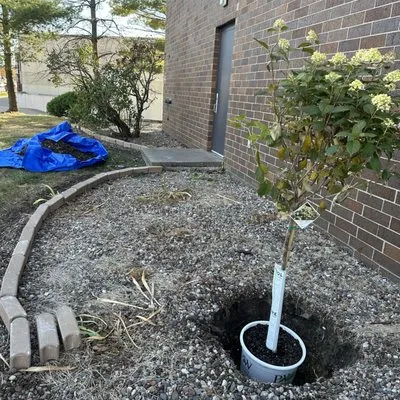 Green Acres Lawn & Snow