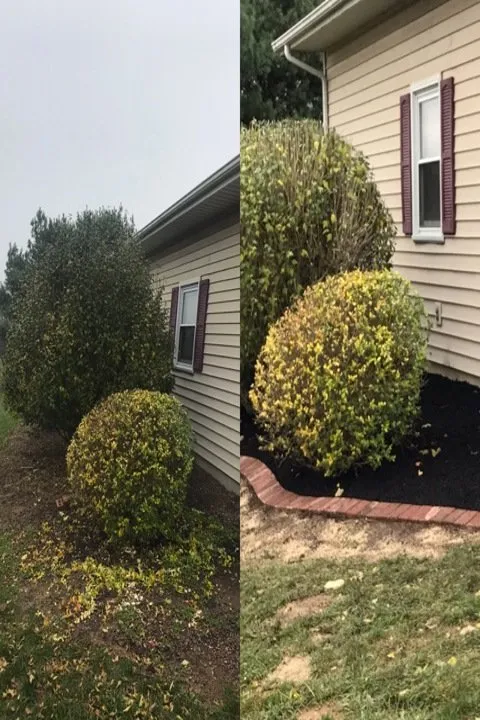 Custom lawn care service experts serving Mitchell, IN - Green Acres Lawn Care