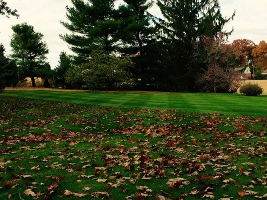 Green Acres Lawn Care