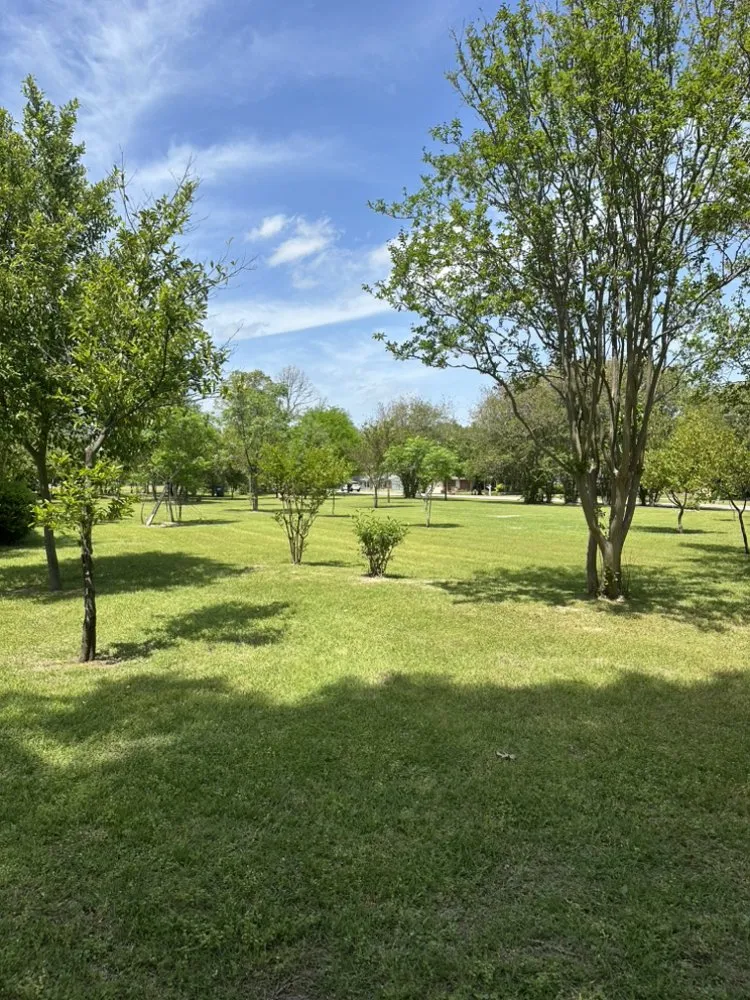 Reliable landscape installation experts serving Quitman, TX - Green Acres Lawn Care