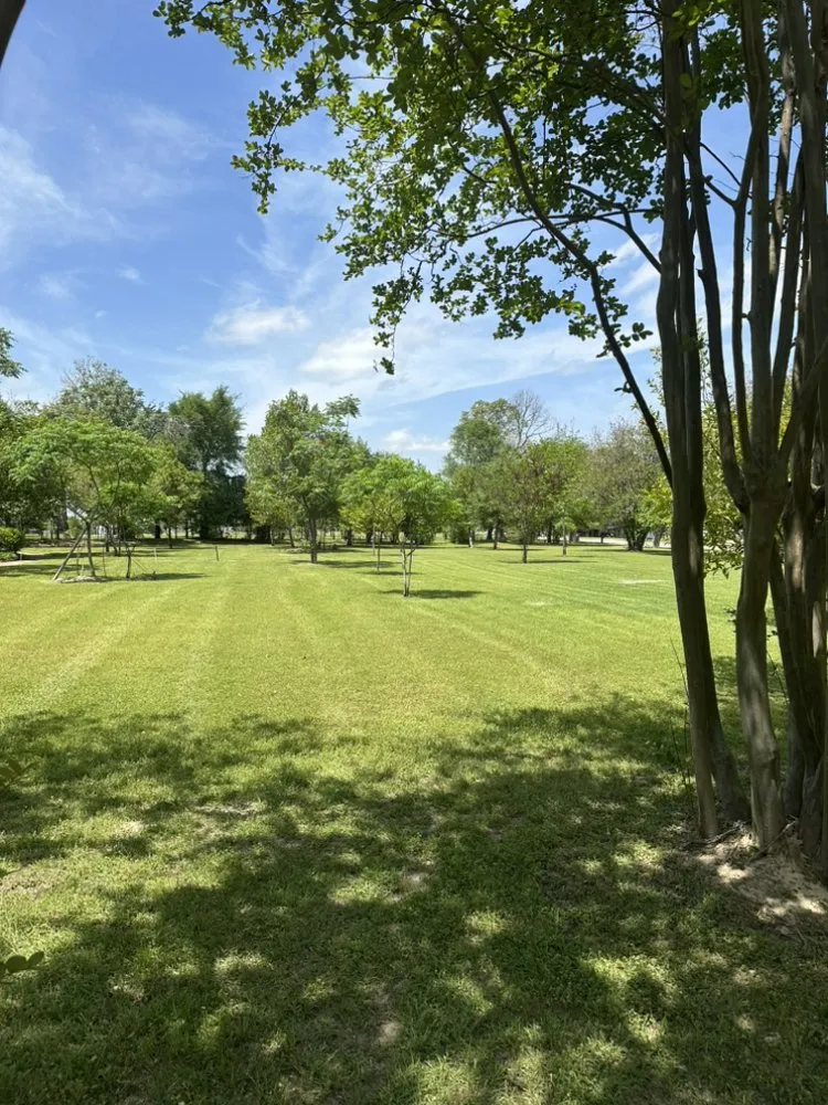 Top-rated landscaping services for homes across Quitman, TX - Green Acres Lawn Care