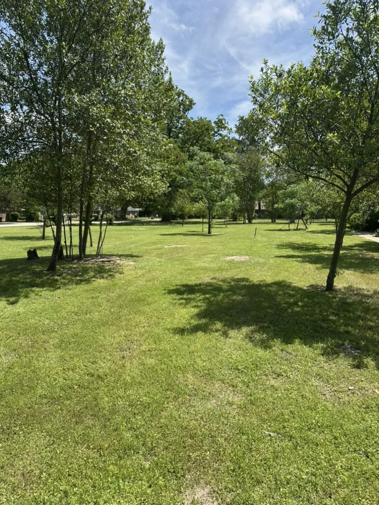 Custom yard cleanup service in Quitman, TX by Green Acres Lawn Care