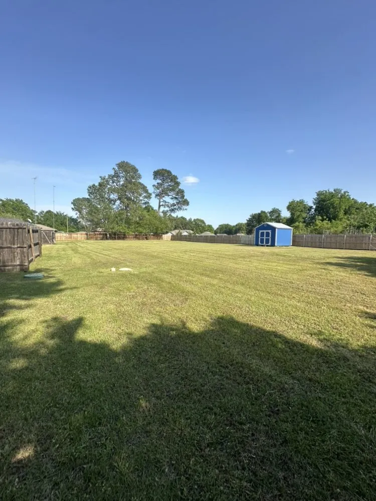 Custom yard cleanup service experts serving Quitman, TX - Green Acres Lawn Care