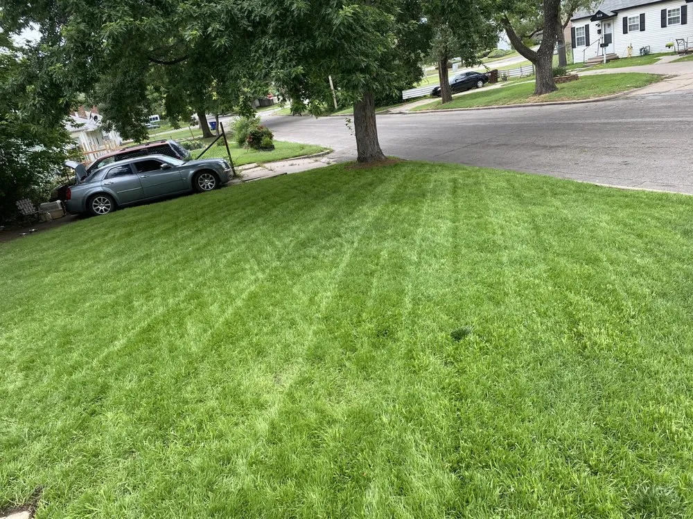 Trusted yard cleanup service experts serving Wichita, KS - Green Acres Lawn Care