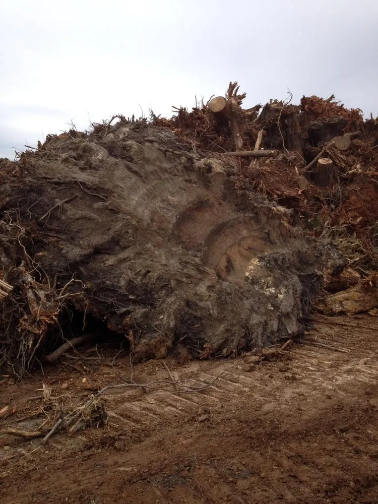 Professional landscape installation experts serving Clayton, NC - Green Acres Lawn Maintenance, Inc.