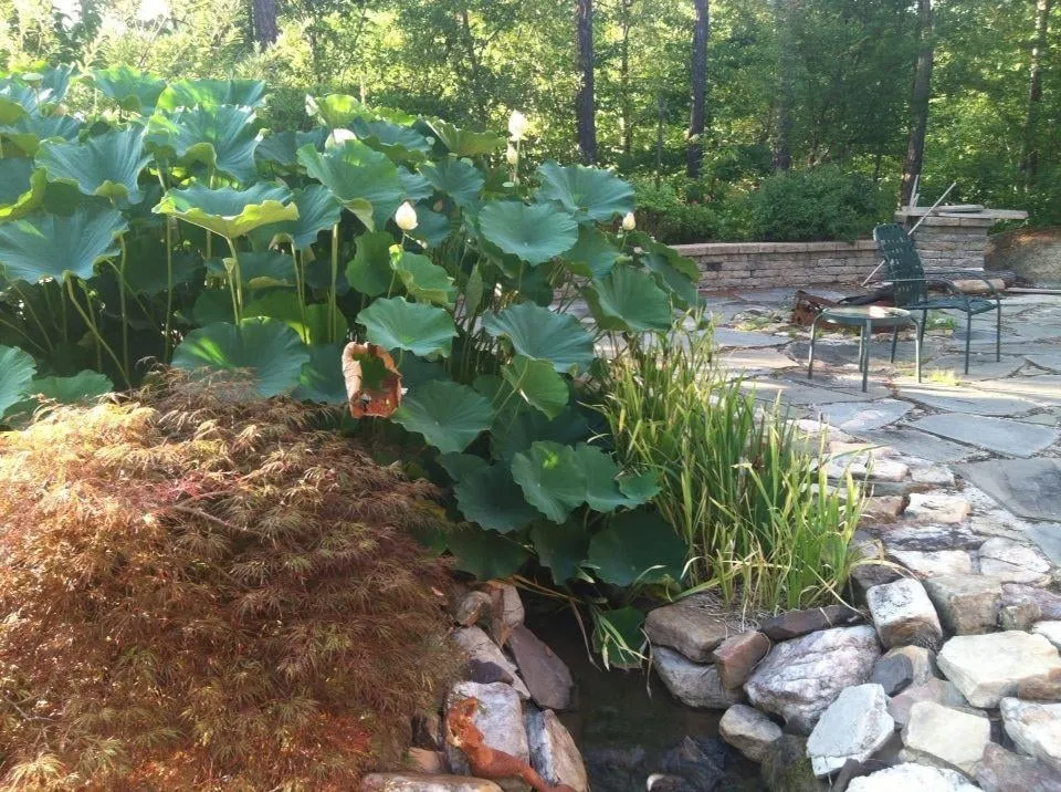 Top-rated landscaping services in Clayton, NC by Green Acres Lawn Maintenance, Inc.