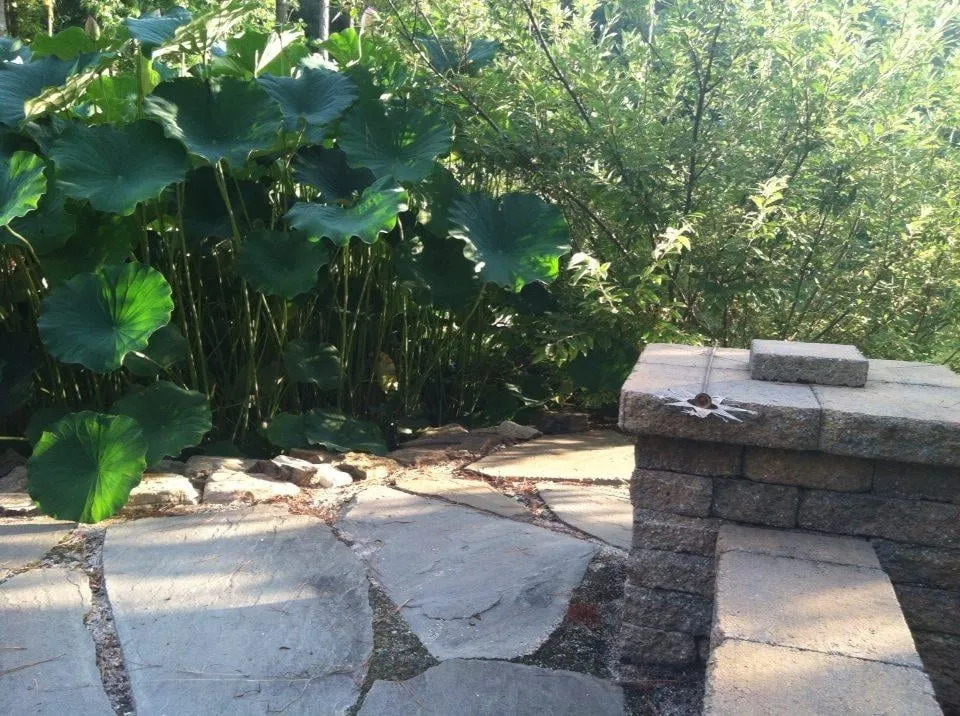 Professional residential landscaping in Clayton, NC by Green Acres Lawn Maintenance, Inc.