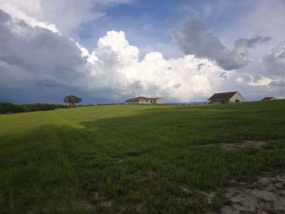 Reliable lawn care service for year-round maintenance across Inverness, FL - Green Acres Lawn Service