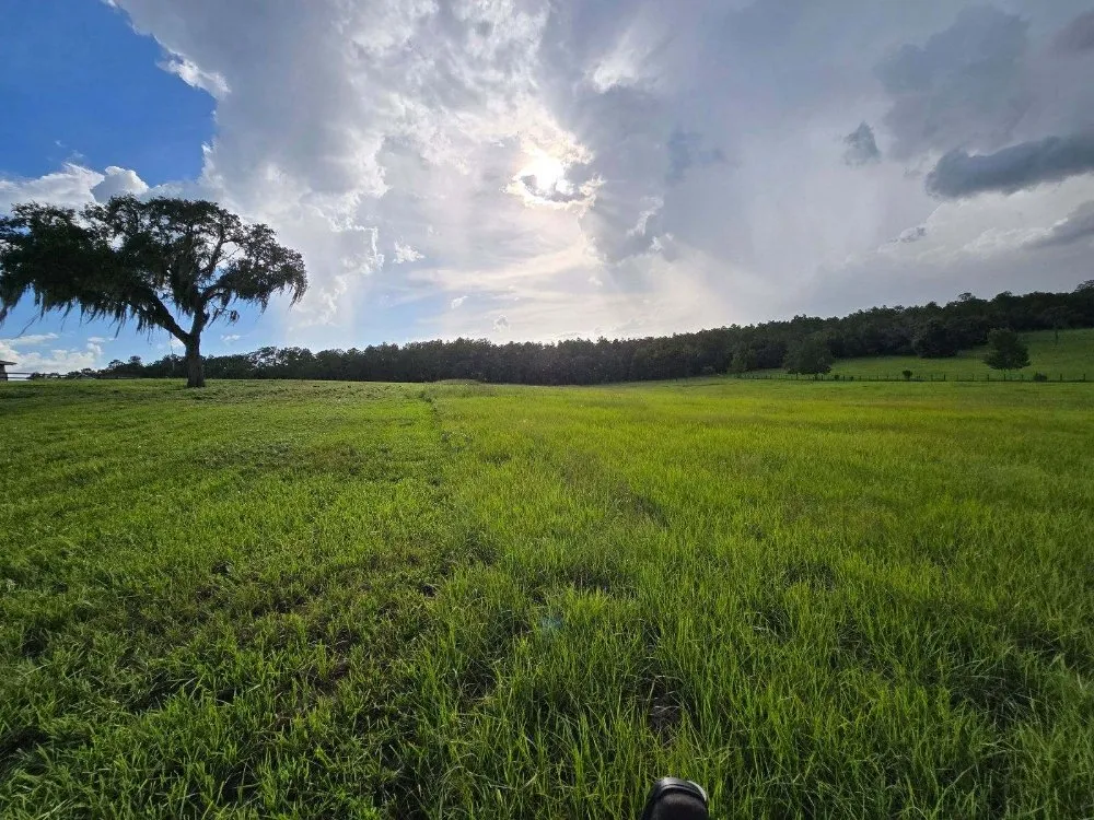 Trusted landscaping services in Inverness, FL by Green Acres Lawn Service