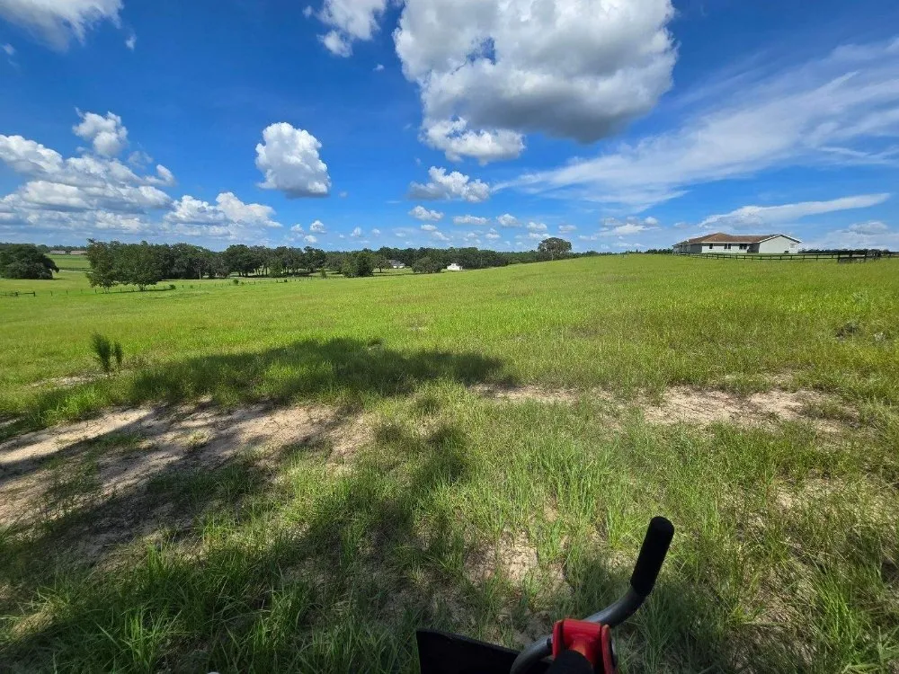 Expert lawn care service in Inverness, FL - Green Acres Lawn Service