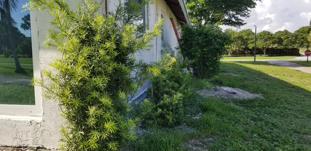 Professional residential landscaping experts serving West Palm Beach, FL - Green Acres Lawn Service