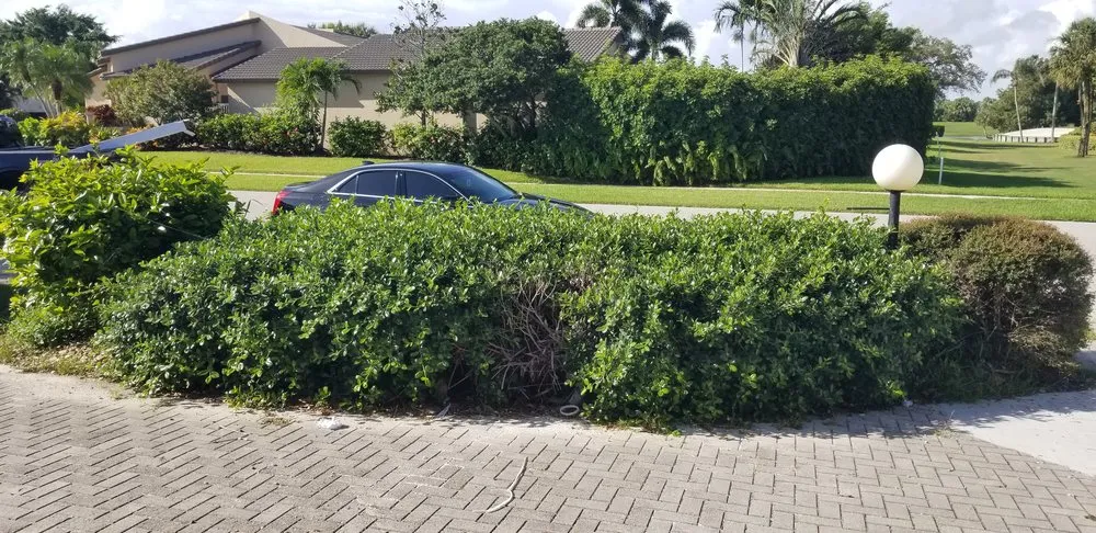 Affordable garden landscaping in West Palm Beach, FL - Green Acres Lawn Service