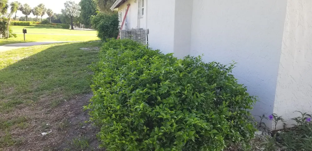 Affordable outdoor landscaping with custom design in West Palm Beach, FL by Green Acres Lawn Service