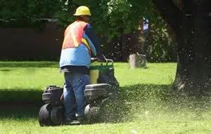 Local yard cleanup service experts serving Brooksville, FL - Green Acres Lawn Services