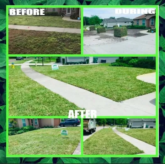 Top-rated landscape design for beautiful yards across DeLand, FL - Green Acres Lawnscaping