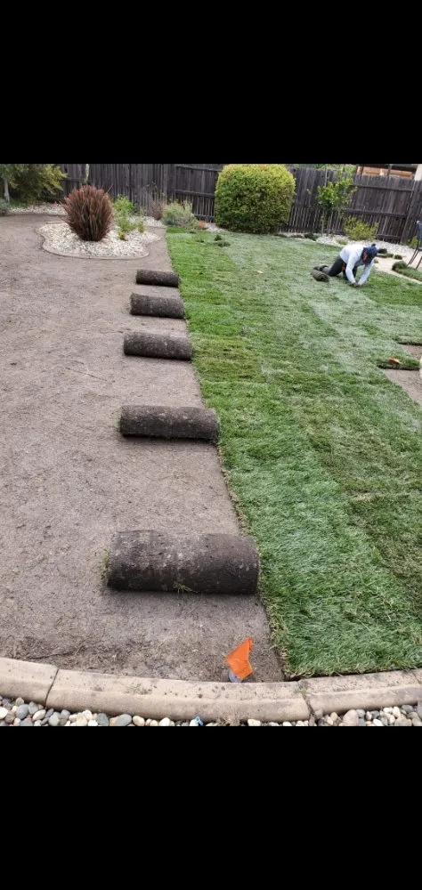 Trusted landscape installation for homes across North Highlands, CA - Green Acres