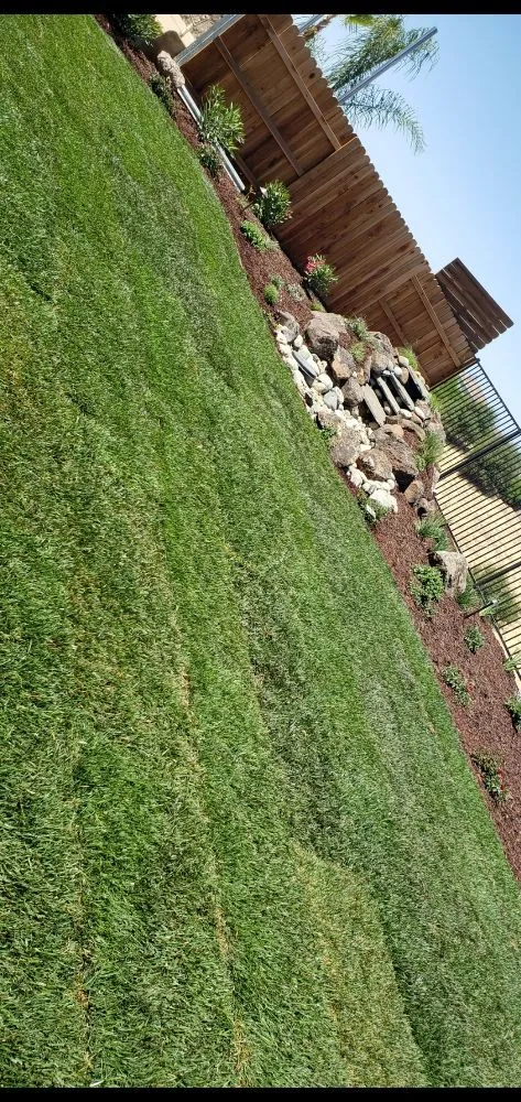 Professional yard cleanup service for beautiful yards in North Highlands, CA by Green Acres