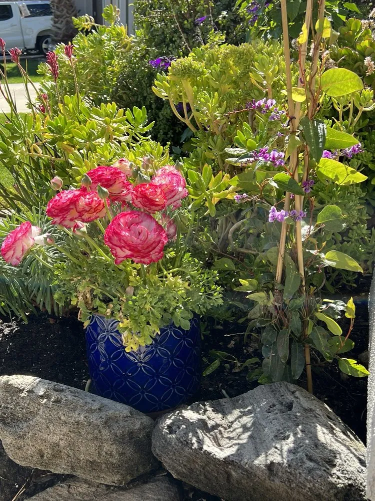 Local lawn mowing service experts serving North Highlands, CA - Green Acres