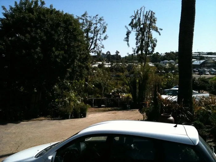 Affordable lawn care service for beautiful yards in Vista, CA by Green Acres Nursery