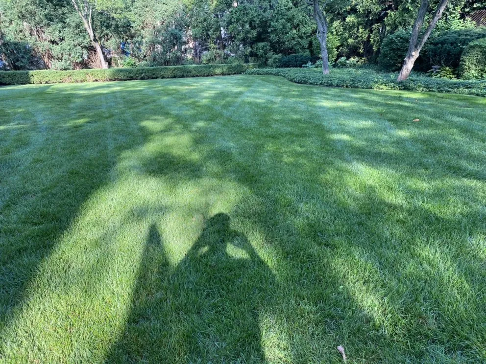 Local landscape design for homes in Downers Grove, IL by Green AF