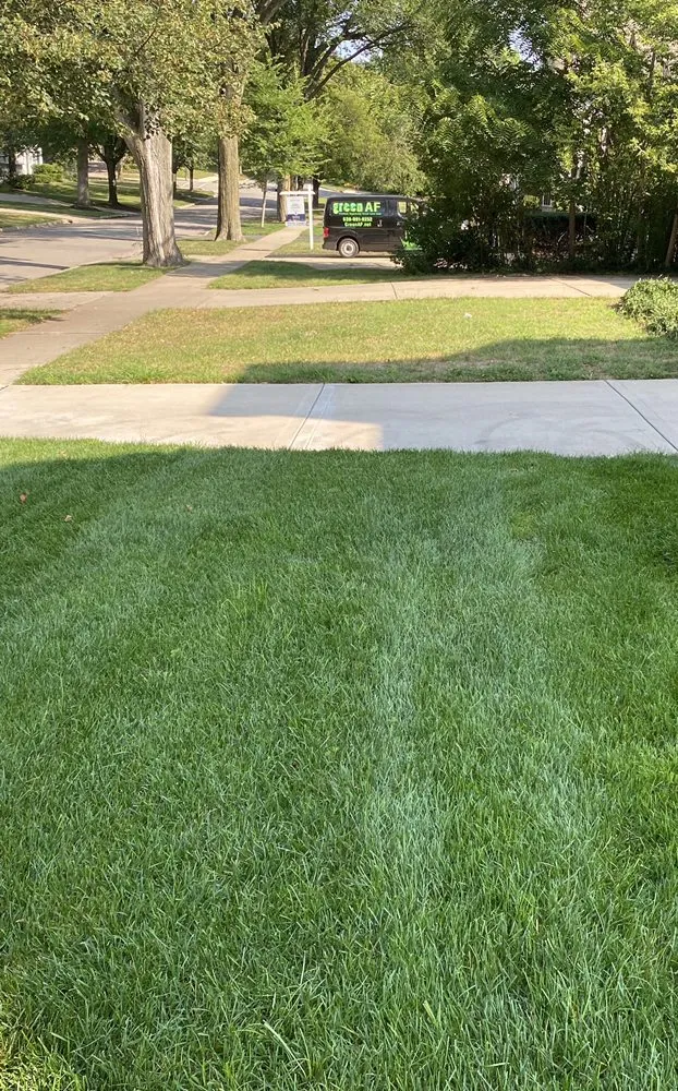 Top-rated landscape installation experts serving Downers Grove, IL - Green AF