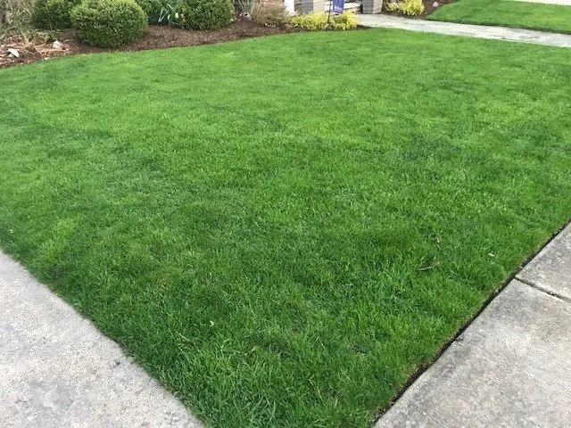 Custom landscape design for residential properties in Downers Grove, IL by Green AF