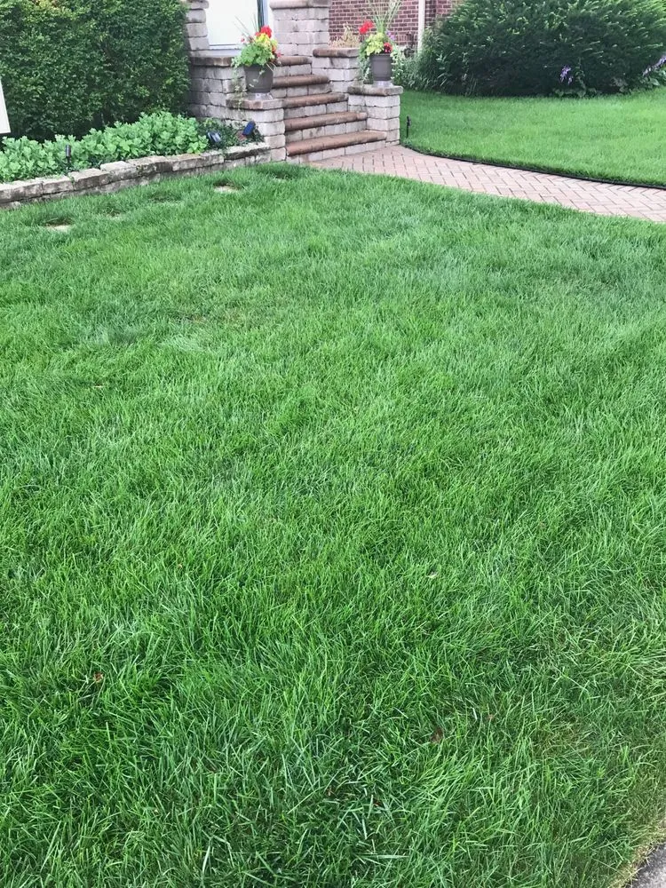 Professional landscape design for year-round maintenance across Downers Grove, IL - Green AF