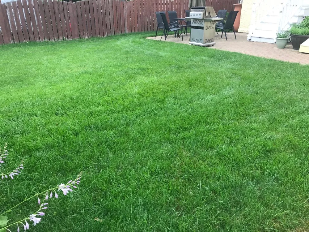 Expert yard maintenance experts serving Downers Grove, IL - Green AF