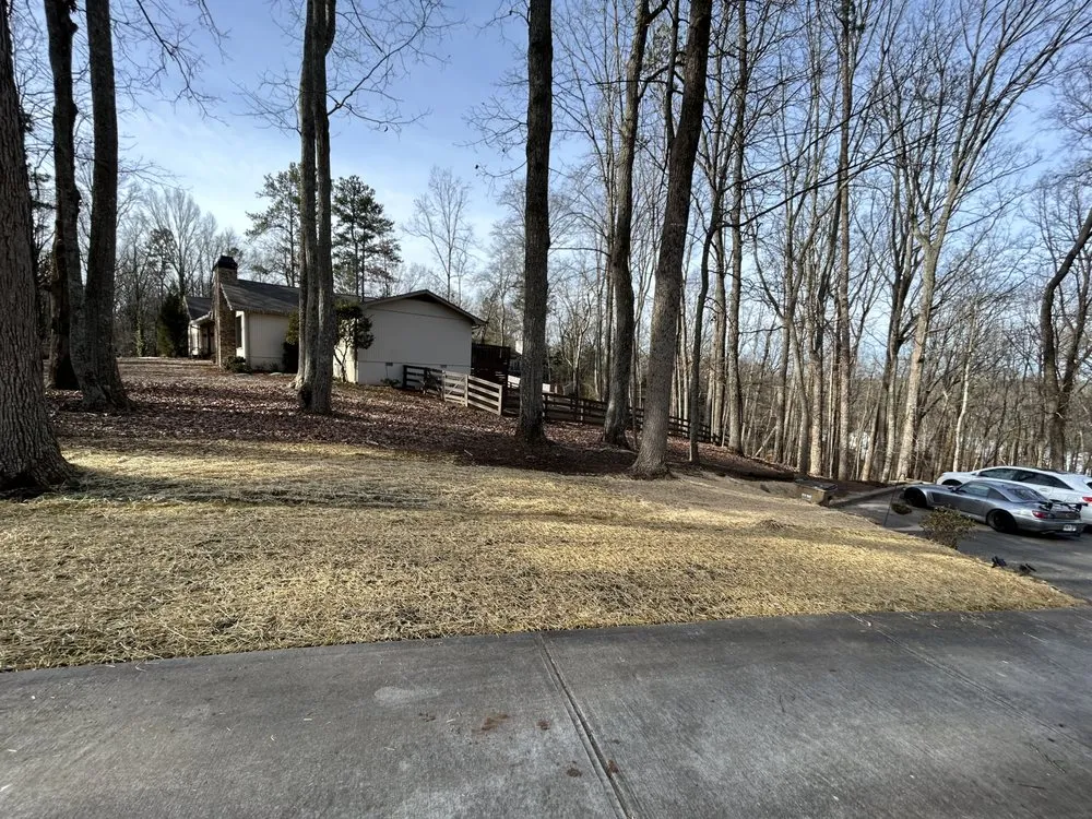 Trusted yard cleanup service in Braselton, GA by Green Again Lawn and Landscape