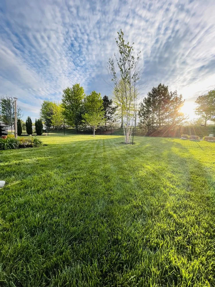 Professional landscape installation in Paola, KS - Green Again Lawn