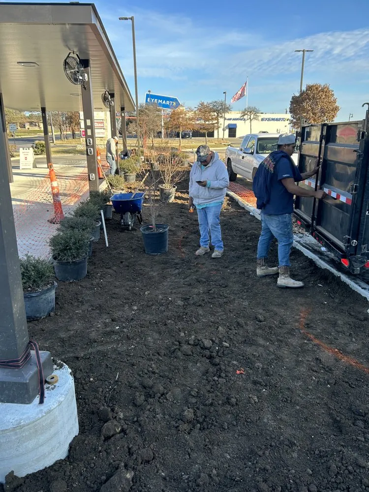 Reliable landscape design experts serving Seguin, TX - Green agave landscape