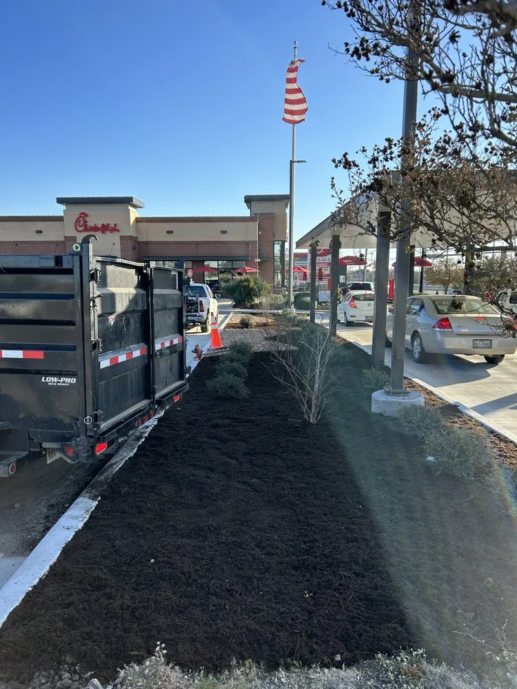 Expert landscaping services for beautiful yards in Seguin, TX by Green agave landscape