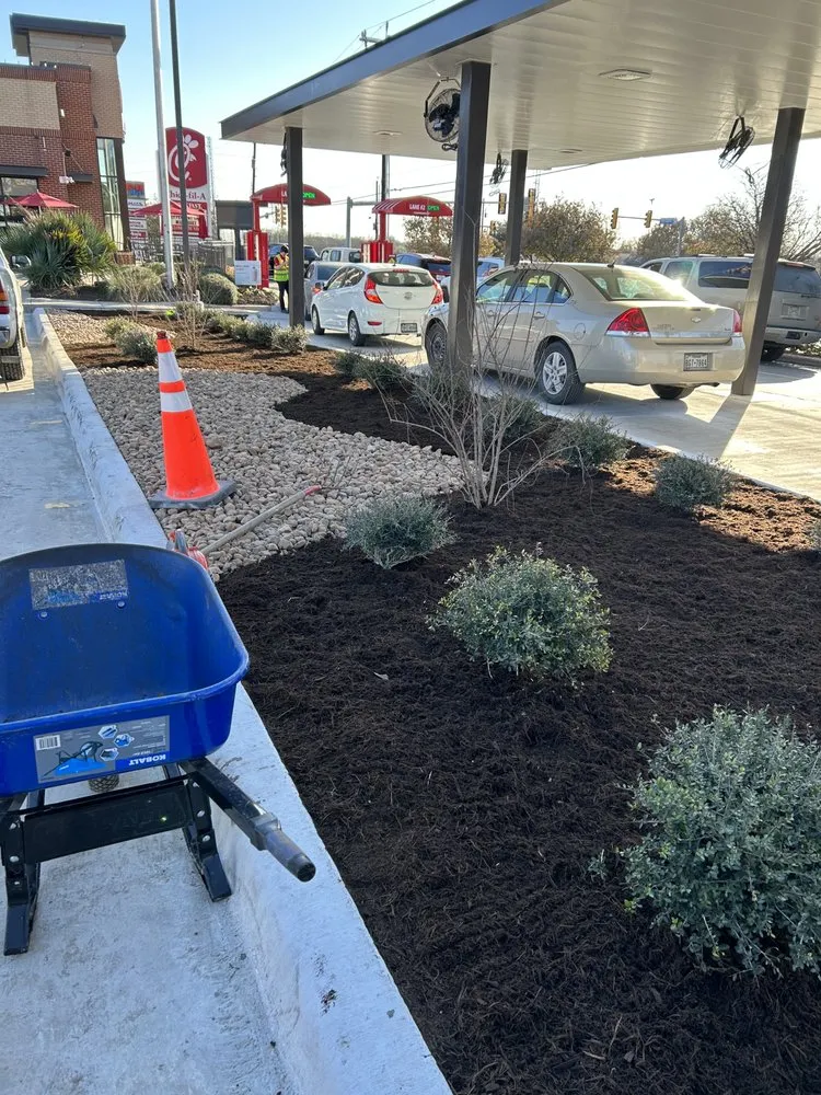 Expert landscape installation experts serving Seguin, TX - Green agave landscape