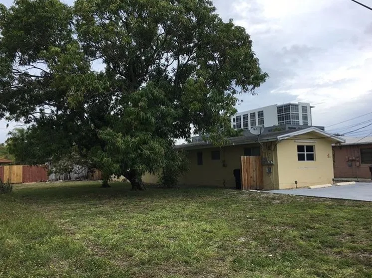 Affordable yard cleanup service experts serving North Miami Beach, FL - Green America Landscape