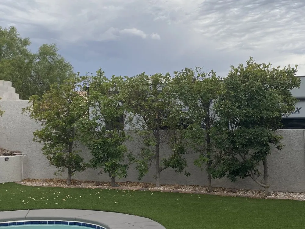 Professional lawn care service with custom design across Henderson, NV - Green America Tree & Landscaping