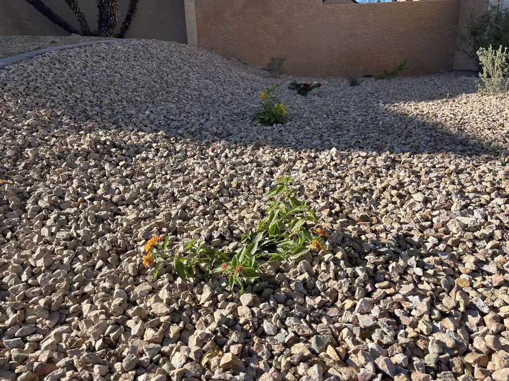 Affordable residential landscaping experts serving Henderson, NV - Green America Tree & Landscaping