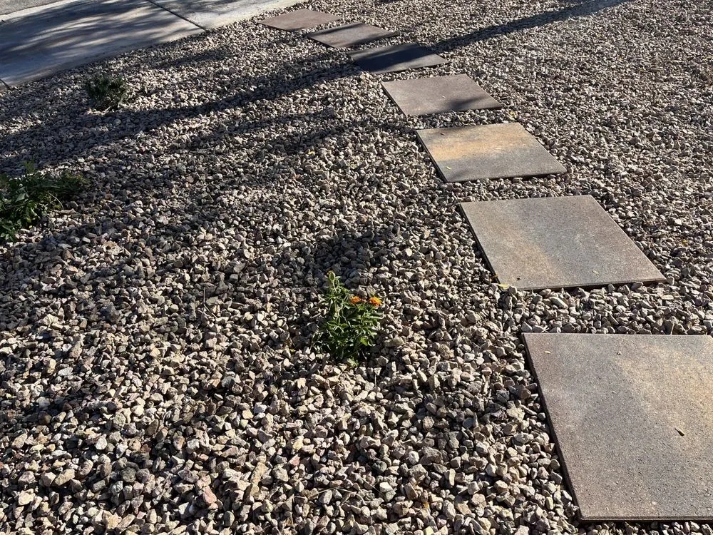 Reliable lawn care service in Henderson, NV - Green America Tree & Landscaping