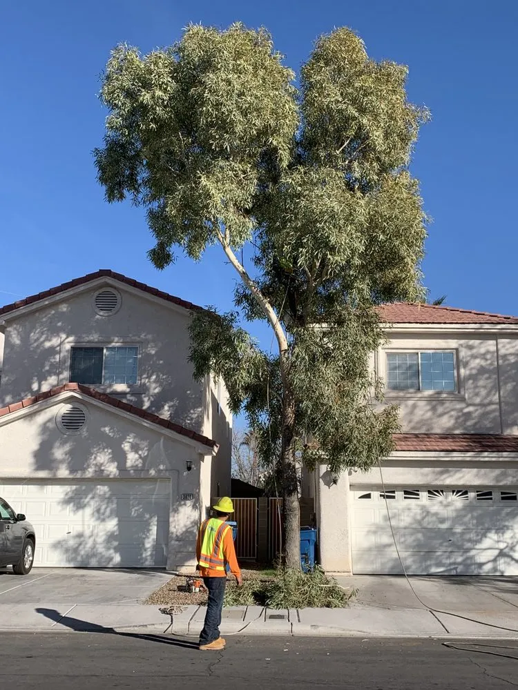 Custom landscape design for homes in Henderson, NV by Green America Tree & Landscaping