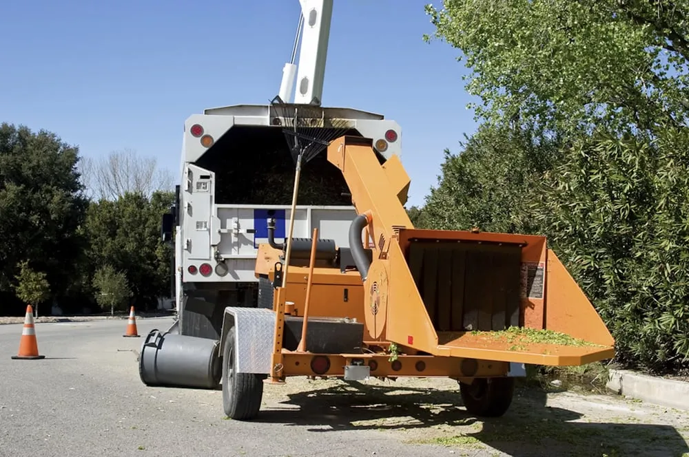 Affordable outdoor landscaping for beautiful yards across Henderson, NV - Green America Tree & Landscaping