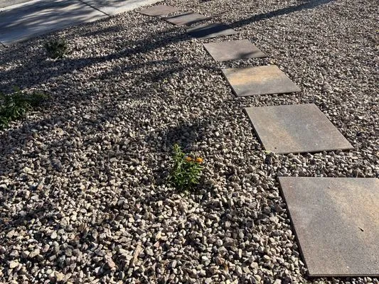 Green America Tree & Landscaping Logo