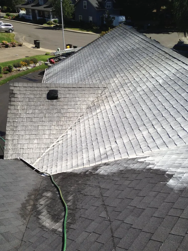 Top-rated yard cleanup service in Mcminnville, OR by Green and Clean Moss Removal