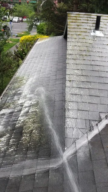 Reliable lawn care service in Mcminnville, OR by Green and Clean Moss Removal