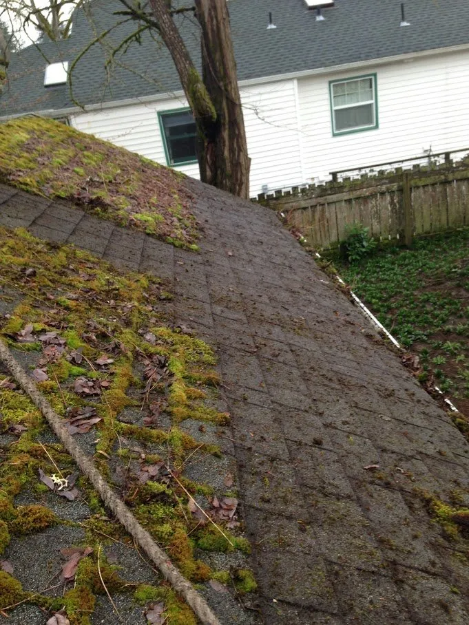 Professional garden landscaping with custom design in Mcminnville, OR by Green and Clean Moss Removal