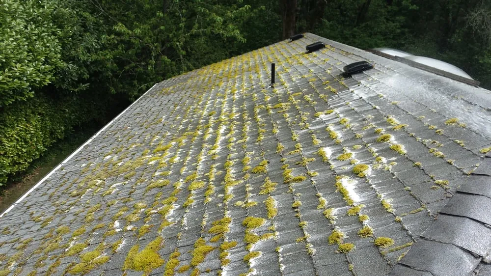 Custom lawn care service near you across Mcminnville, OR - Green and Clean Moss Removal