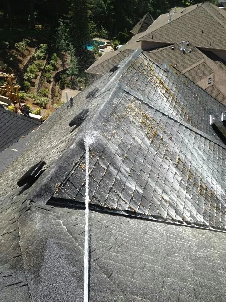 Custom outdoor landscaping experts serving Mcminnville, OR - Green and Clean Moss Removal