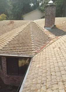 Professional residential landscaping for year-round maintenance across Mcminnville, OR - Green and Clean Moss Removal