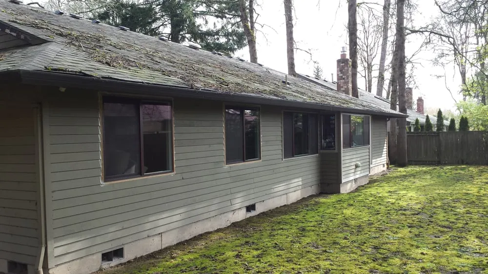 Affordable outdoor landscaping in Mcminnville, OR - Green and Clean Moss Removal