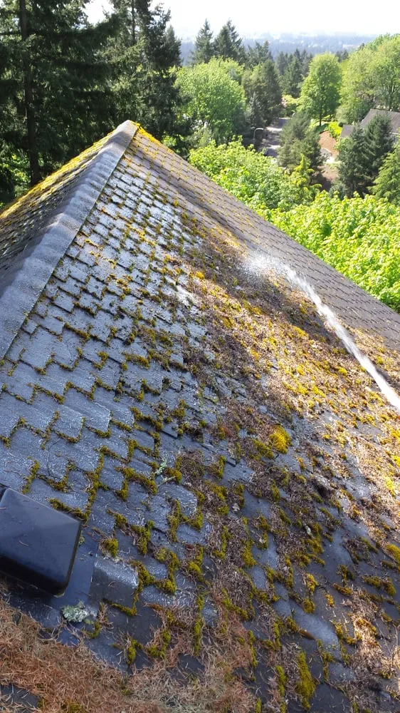 Local yard maintenance in Mcminnville, OR by Green and Clean Moss Removal