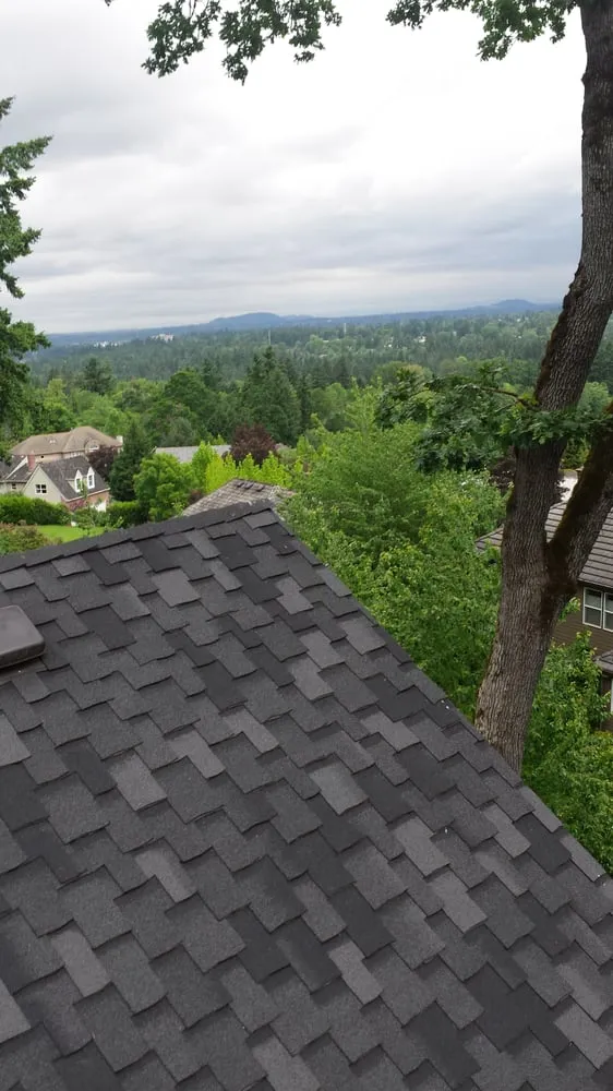 Reliable residential landscaping with custom design across Mcminnville, OR - Green and Clean Moss Removal